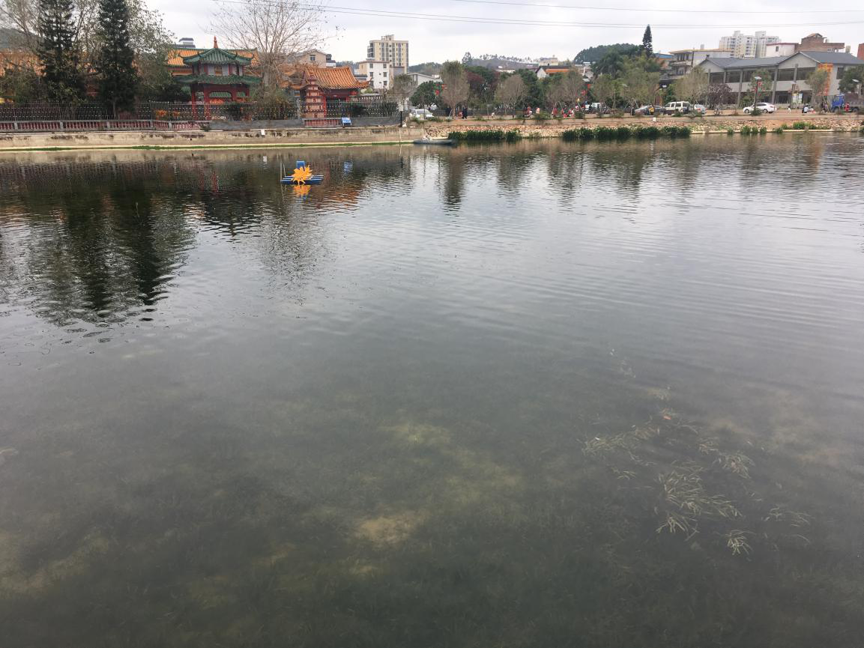 修复后现场情况